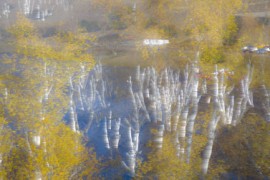 01489  生活就是浪费时光