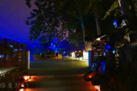 01490  我只想说冬天你来