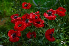 01423  故事让我们身陷其中