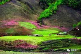 01432  出门记得带伞